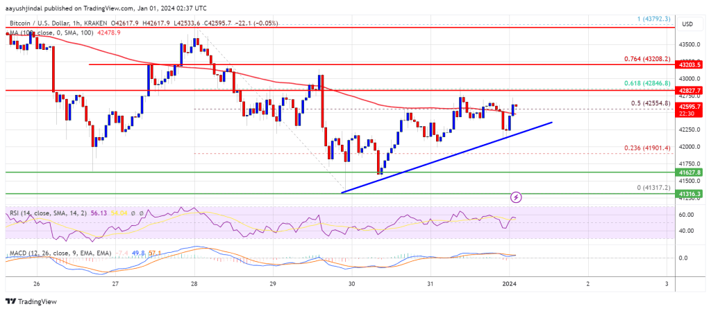 Bitcoin (BTC) Price Prediction April 2024 2025 2026 2030 2040 ...